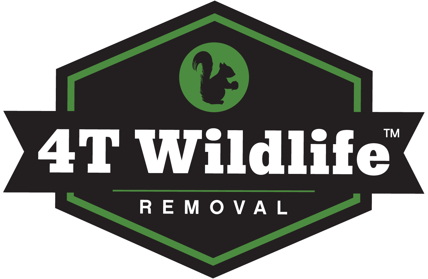 4T Wildlife Removal