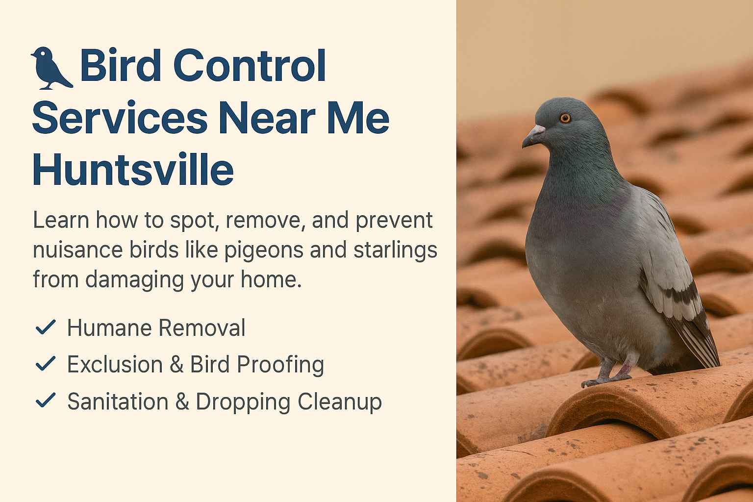 bird control 4twildlife removal