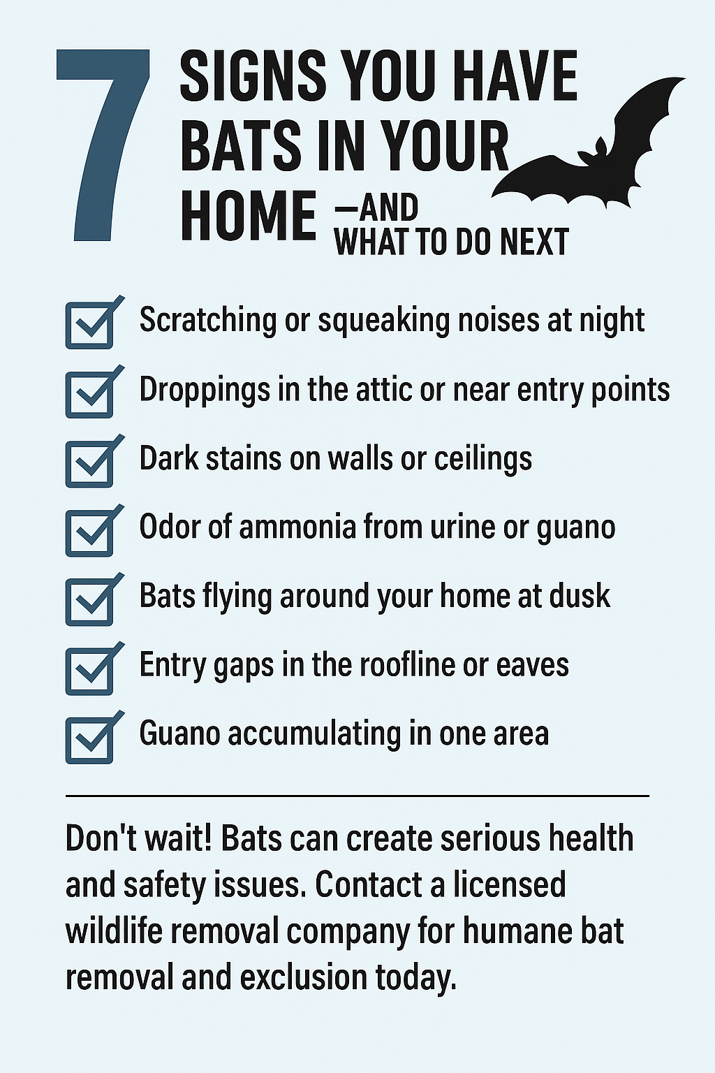 bat inspection in Huntsville attic